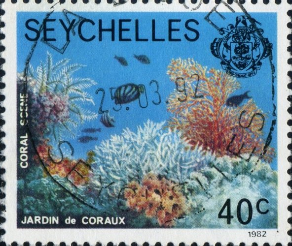 Coral Reef