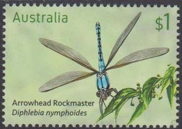 Arrowhead Rockmaster, Diphlebia nymphoides