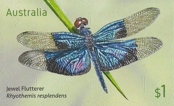 Jewel Flutterer, Rhyothemis resplendens