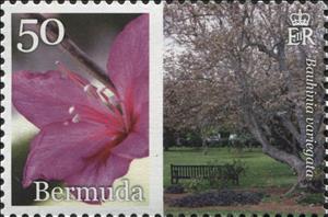 Stamp, Bauhinia variegata, Bermuda,  , Plants (Flora)