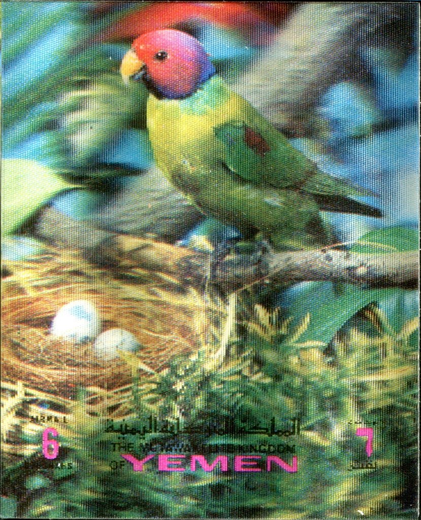 Birds 3-D