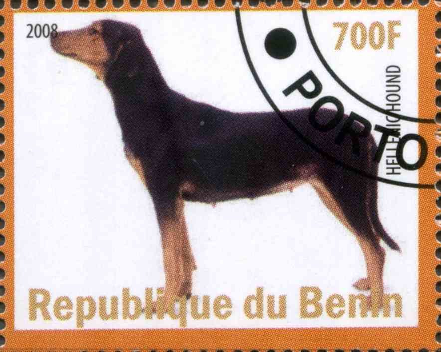 Hellenic Hound