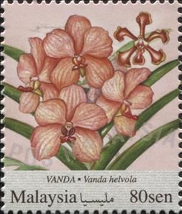 Stamp, Vanda, Malaysia,  , Flowers, Orchids, Plants (Flora)