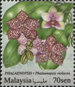 Stamp, Phalaenopsis, Malaysia,  , Flowers, Orchids, Plants (Flora)
