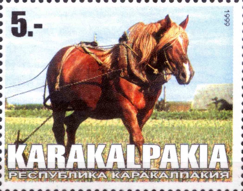 Horse