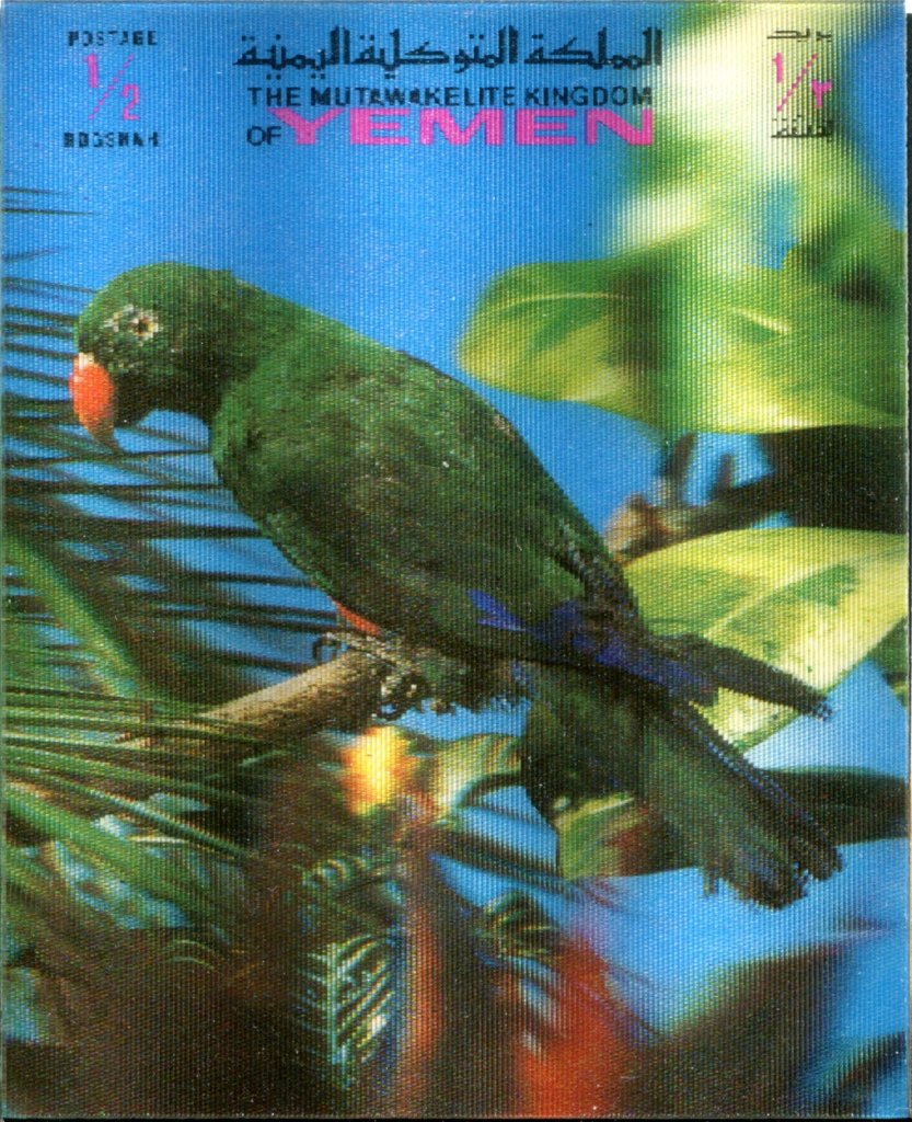 Birds 3-D
