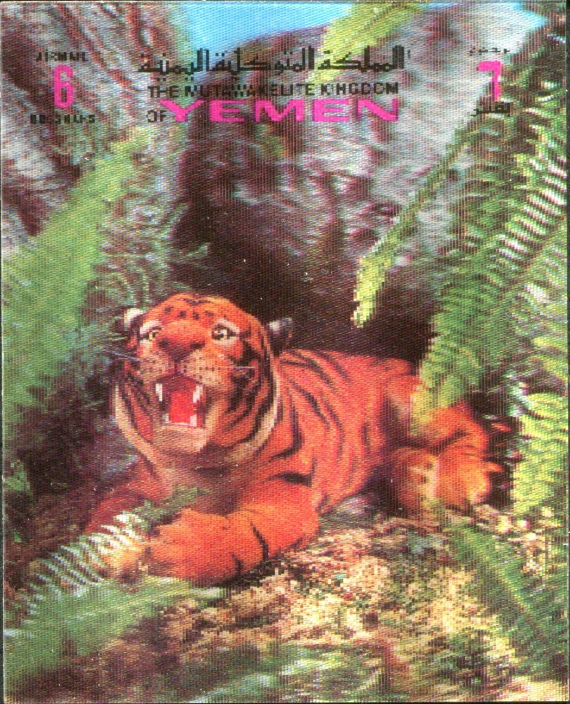 Animals 3-D Tiger