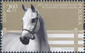 Stamp, Etruria, Poland,  , Animals (Fauna), Horses, Mammals