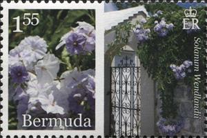 Stamp, Solanum wendlandii, Bermuda,  , Plants (Flora)
