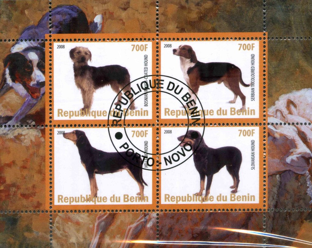 Dogs