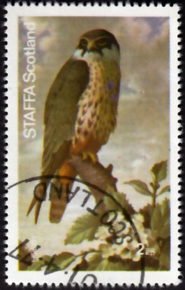 Stamp, Birds of Prey - Hobby, Cinderellas,  , Birds, Birds of Prey, Falcons