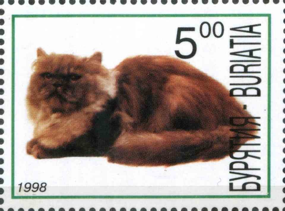 Cats
