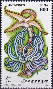 Stamp, Anemone, Somalia,  , Animals (Fauna), Sea Life