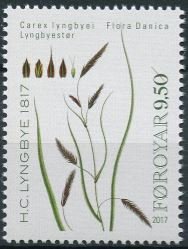 Stamp, Plants - Hans Christian Lyngbye, Faroe Islands,  , Plants (Flora)