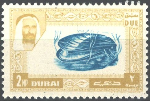 Cockle