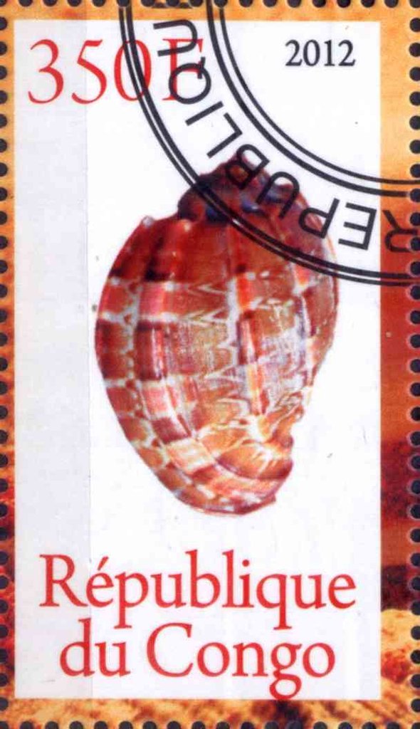 Shell