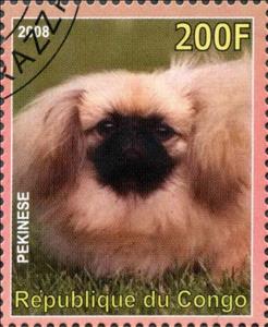 Stamp, Pekinese, Cinderellas,  , Animals (Fauna), Dogs
