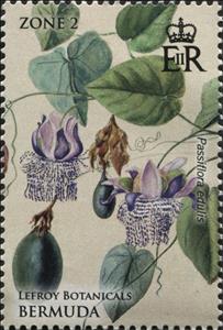 Stamp, Passiflora edulis, Bermuda,  , Plants (Flora)