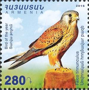 Stamp, Common Kestrel (Falco tinnunculus), Armenia,  , Animals (Fauna), Birds, Birds of Prey, Falcons