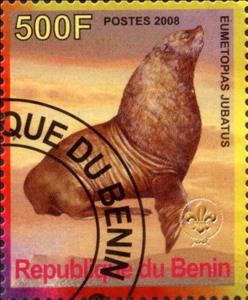 Stamp, Eumetopias Jubatus, Cinderellas,  , Animals (Fauna)