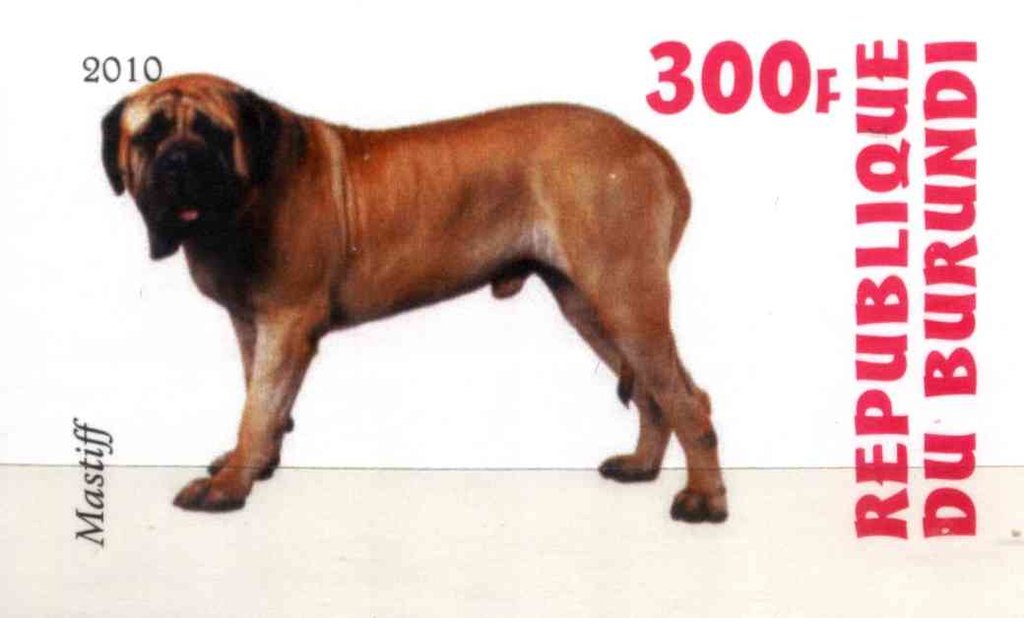 Mastiff