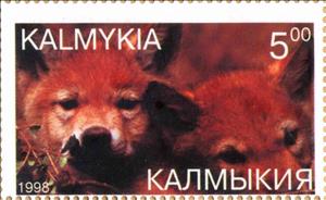Stamp, Wolves, Cinderellas,  , Animals (Fauna), Wolves