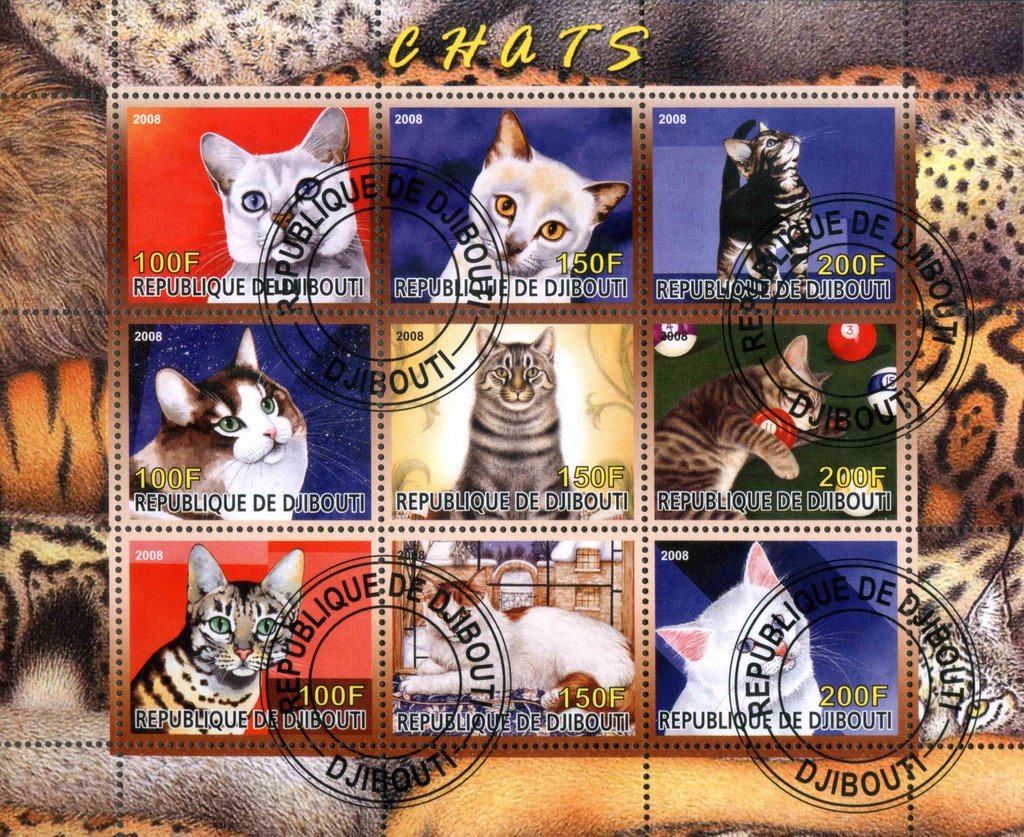 Cats