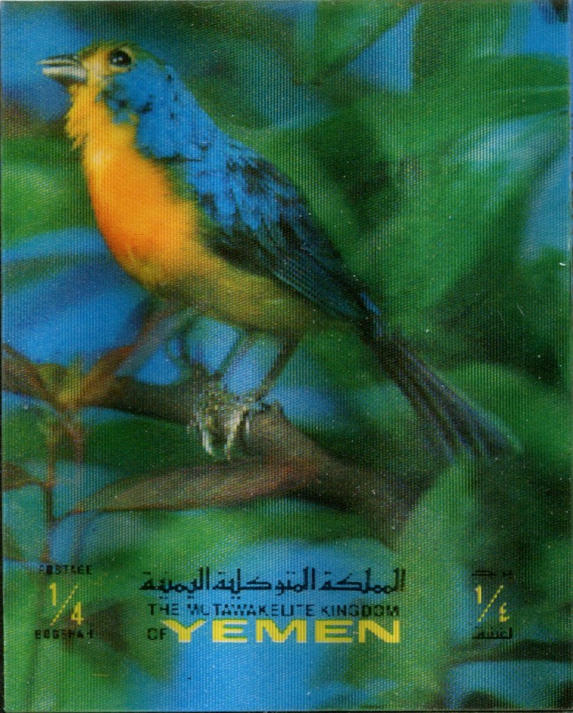 Birds 3-D