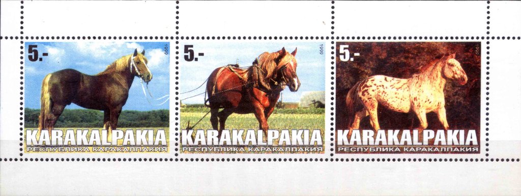Horses