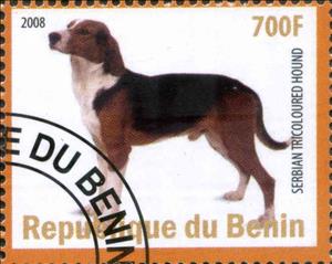 Stamp, Serbian Tricoloured Hound, Cinderellas,  , Animals (Fauna), Dogs