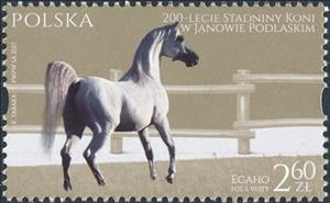 Stamp, Ecaho, Poland,  , Animals (Fauna), Horses, Mammals