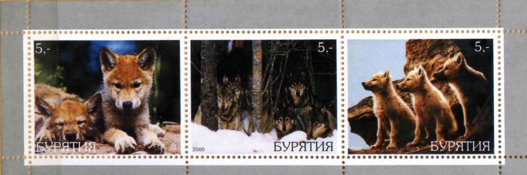 Wolves