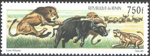 Stamp, Lion (Panthera leo), Cinderellas,  , Animals (Fauna), Buffaloes, Cats of Prey, Лев, Mammals