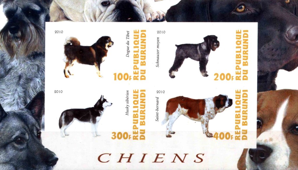 Dogs