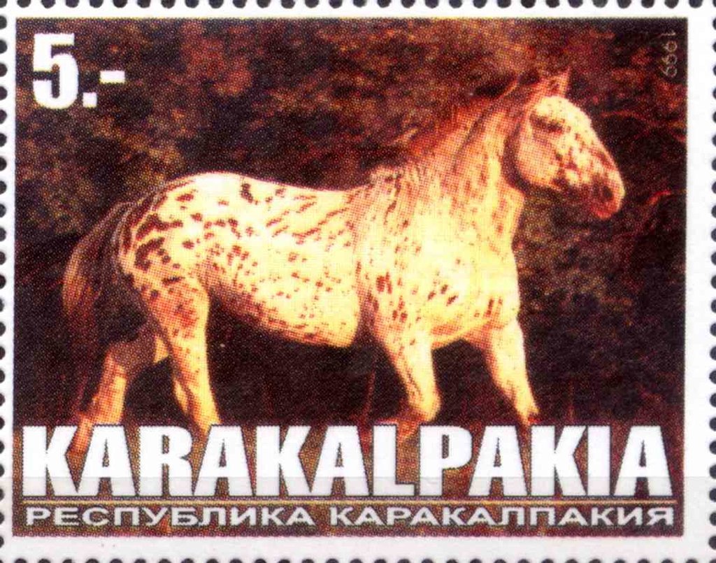 Horse