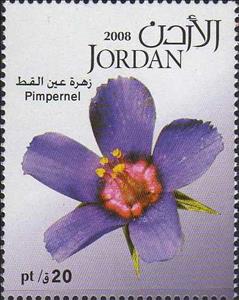 Stamp, Pimpernel, Jordan,  , Flowers, Plants (Flora)