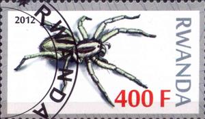 Stamp, Spiders, Cinderellas,  , Animals (Fauna), Insects, Spiders