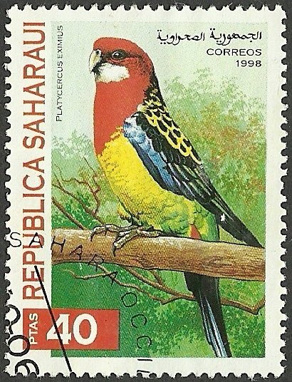 Parrots
