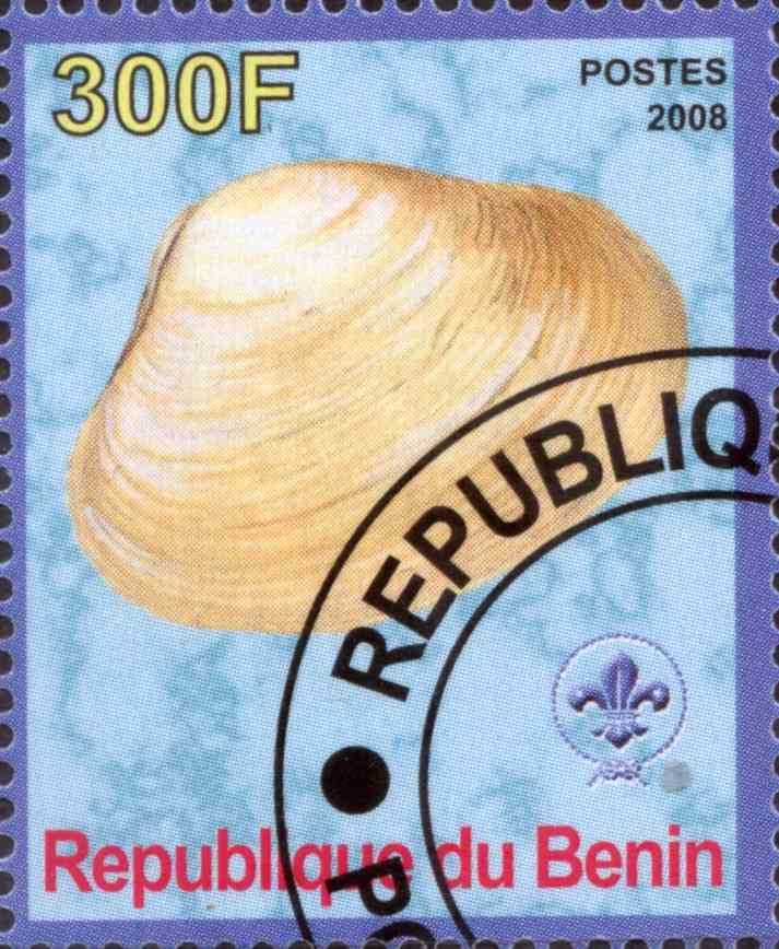 Coquillages et Coraux