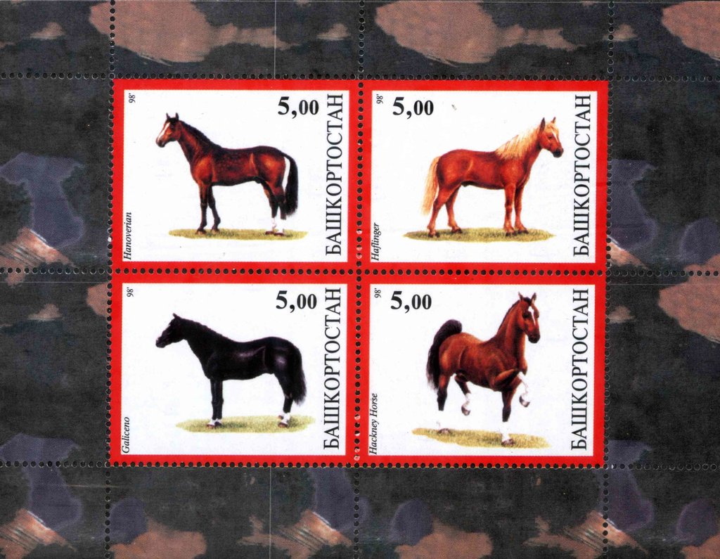 Horses