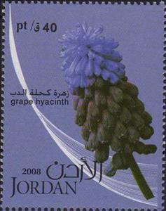 Stamp, Grape hyacinth, Jordan,  , Flowers, Plants (Flora)