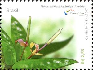 Stamp, Anturio, Brazil,  , Flowers, Plants (Flora)