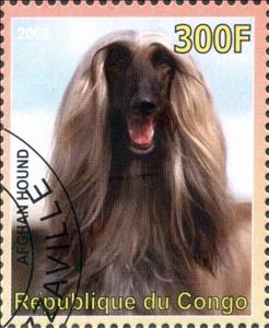 Stamp, Afghan Hound, Cinderellas,  , Animals (Fauna), Dogs