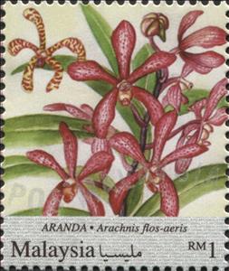 Stamp, Aranda, Malaysia,  , Flowers, Orchids, Plants (Flora)