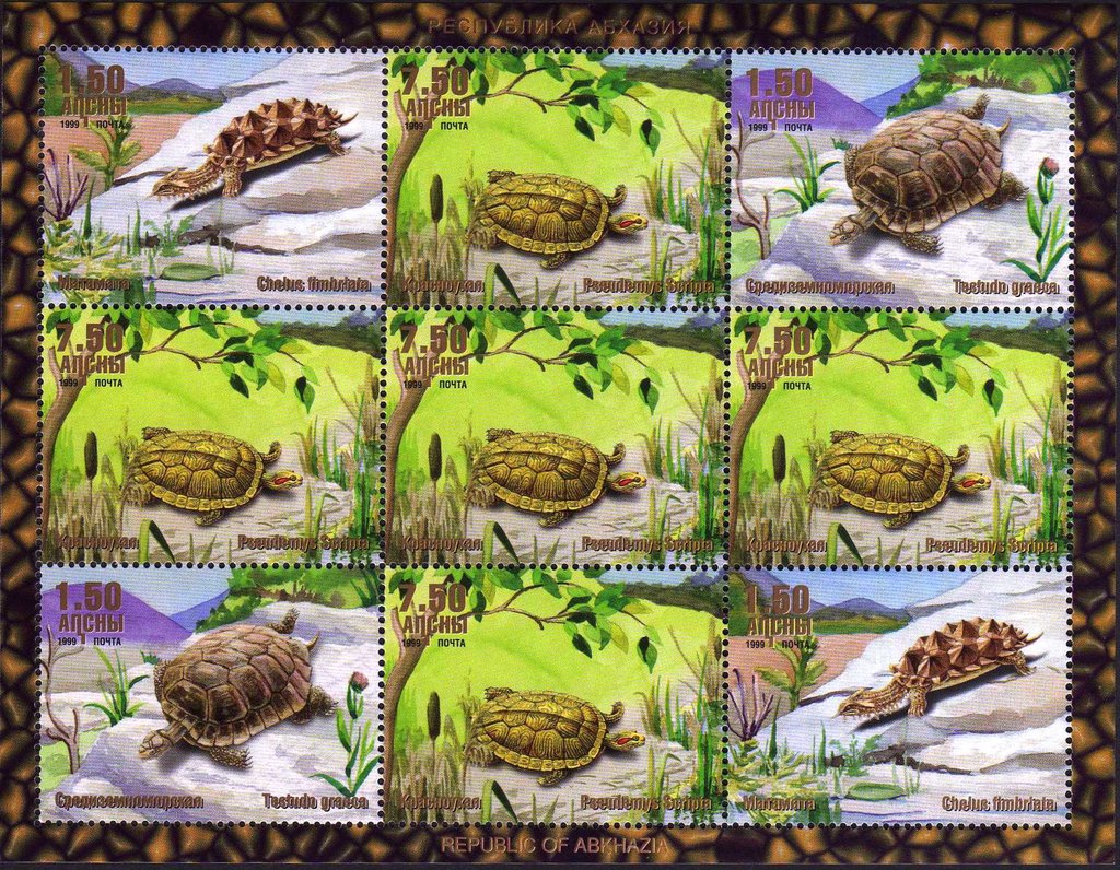 Tortoise Mini Sheet