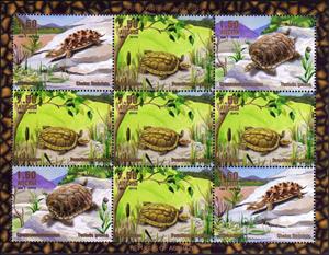Mini Sheet, Tortoise Mini Sheet, Cinderellas,  , Animals (Fauna), Reprints, Turtles