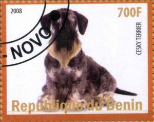 Stamp, Cesky Terrier, Cinderellas,  , Animals (Fauna), Dogs