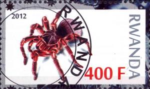 Stamp, Spiders, Cinderellas,  , Animals (Fauna), Insects, Spiders