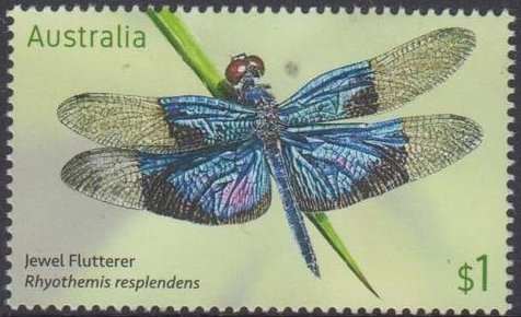 Jewel Flutterer, Rhyothemis resplendens