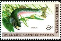 Rainbow Trout (Salmo gairdneri)